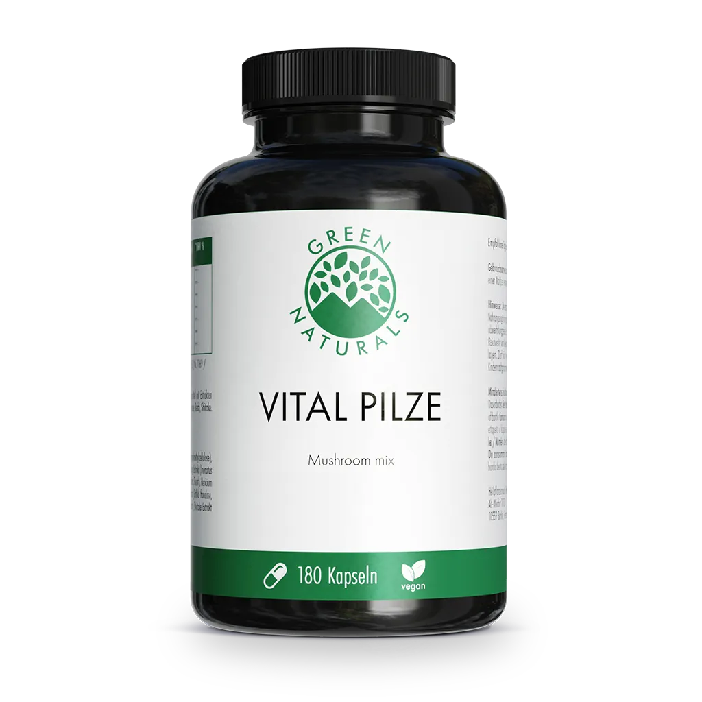 Vital Pilze