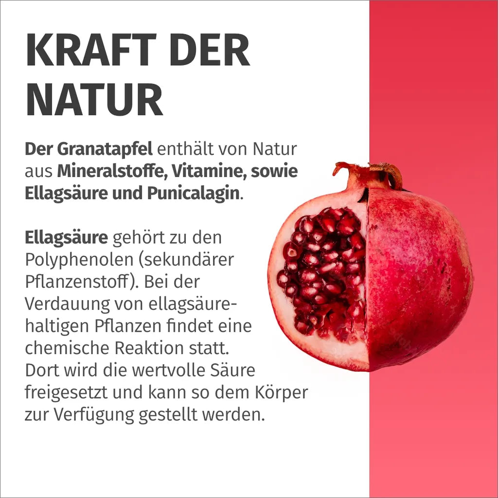 Granatapfel Kapseln (40% Ellagsäure)