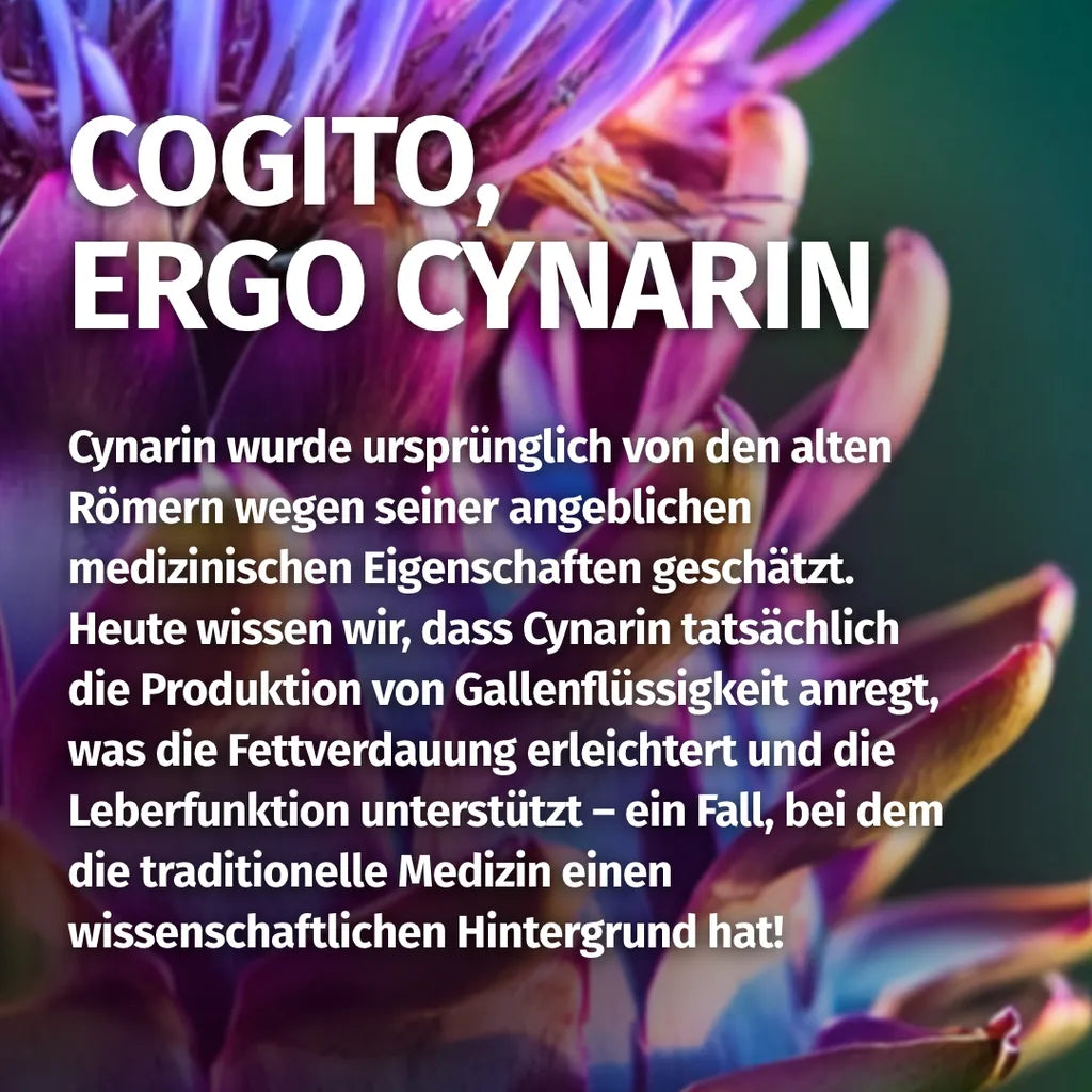 Artischocken Kapseln • 2.600 mg • 10% Cynarin-Anteil