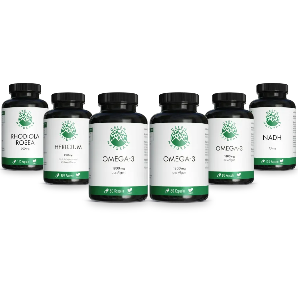 Brain Booster für die Gehirnleistung