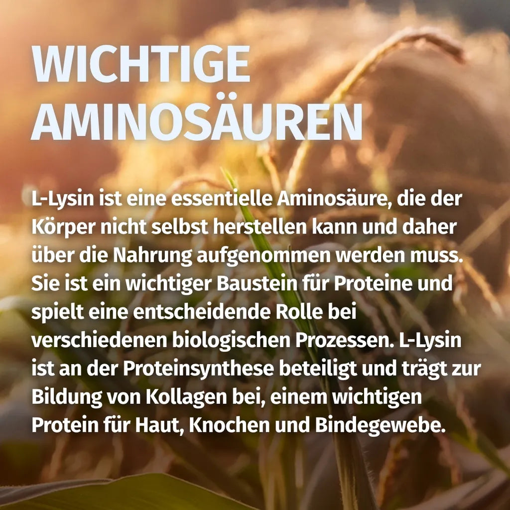 L-Lysin (1.200 mg)
