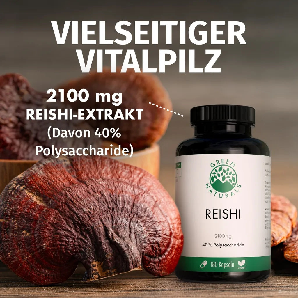 Reishi - 40% Polysaccharide