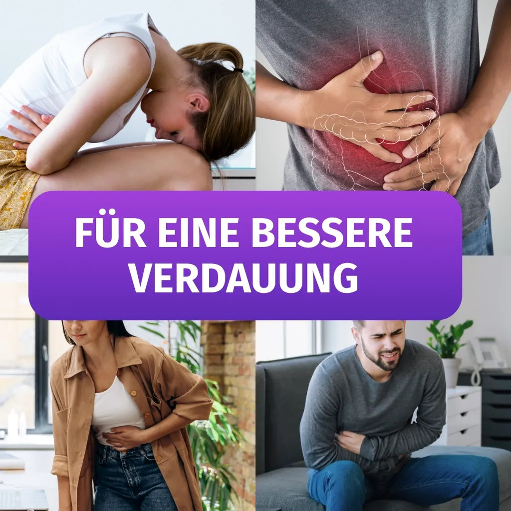 Artischocken Kapseln (2.600 mg)