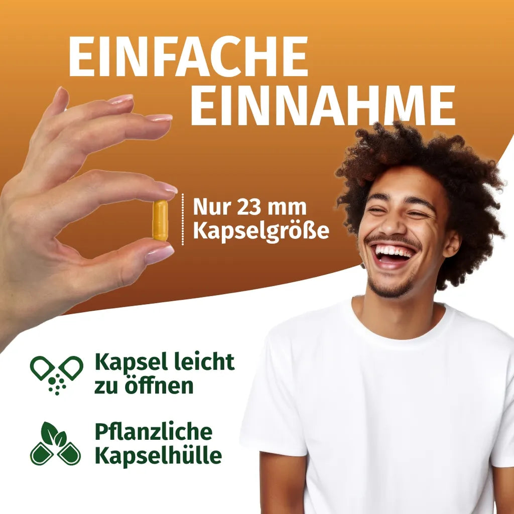 Bockshornklee Kapseln