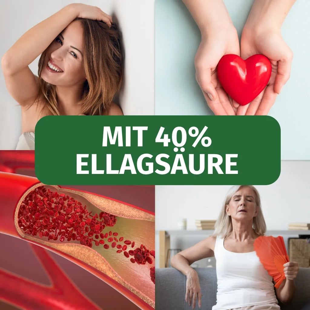 Granatapfel Kapseln (40% Ellagsäure)