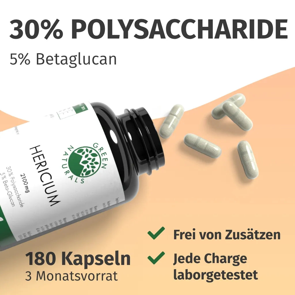 Löwenmähne Pilz (Hericium Erinaceus)