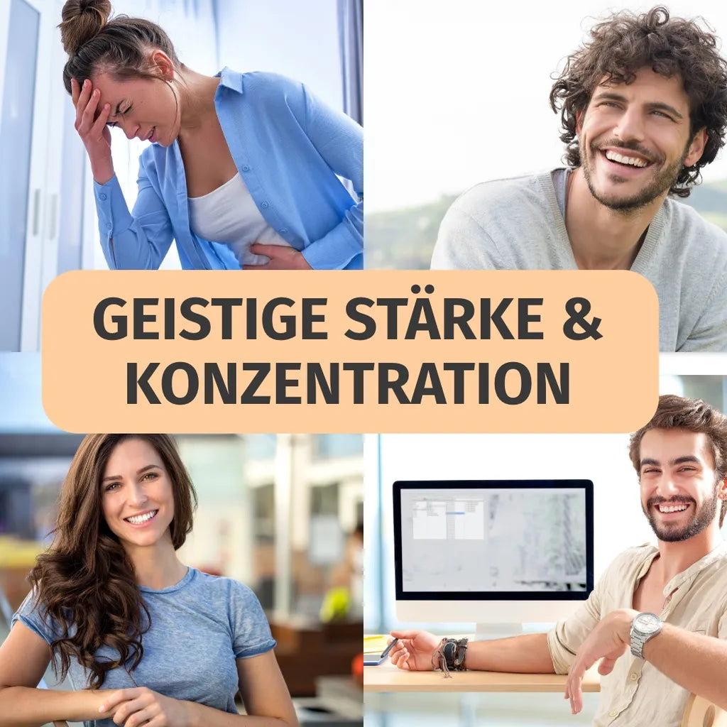 Löwenmähne Pilz (Hericium Erinaceus)