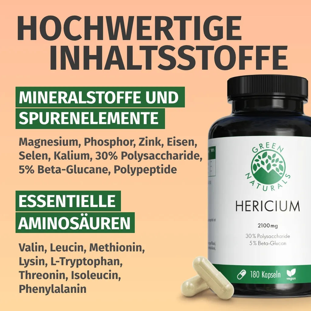 Löwenmähne Pilz (Hericium Erinaceus)