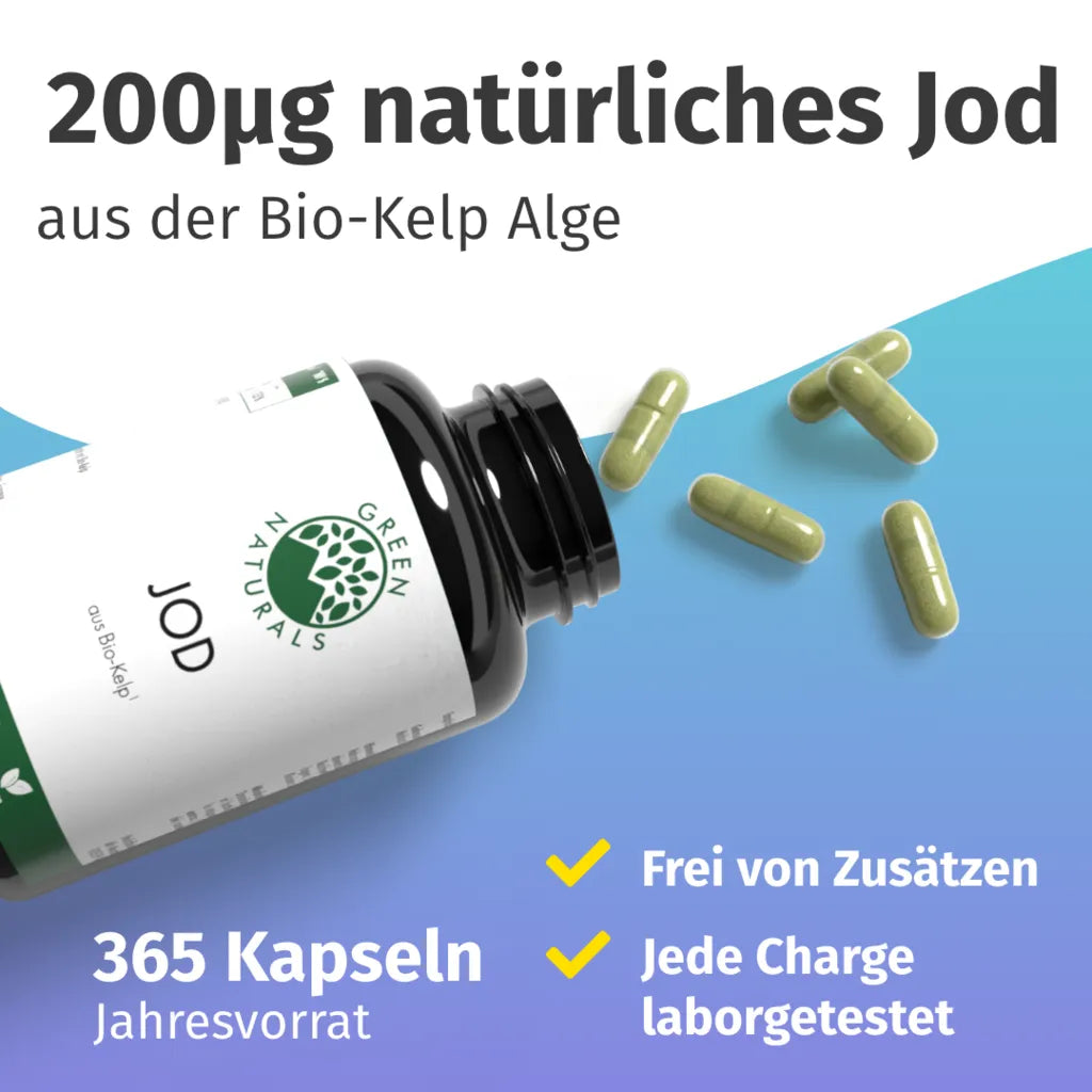 Jod aus Bio-Kelp (365 Tage)