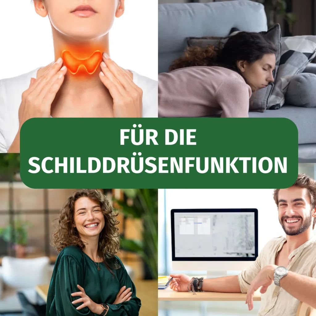 Jod aus Bio-Kelp (365 Tage)