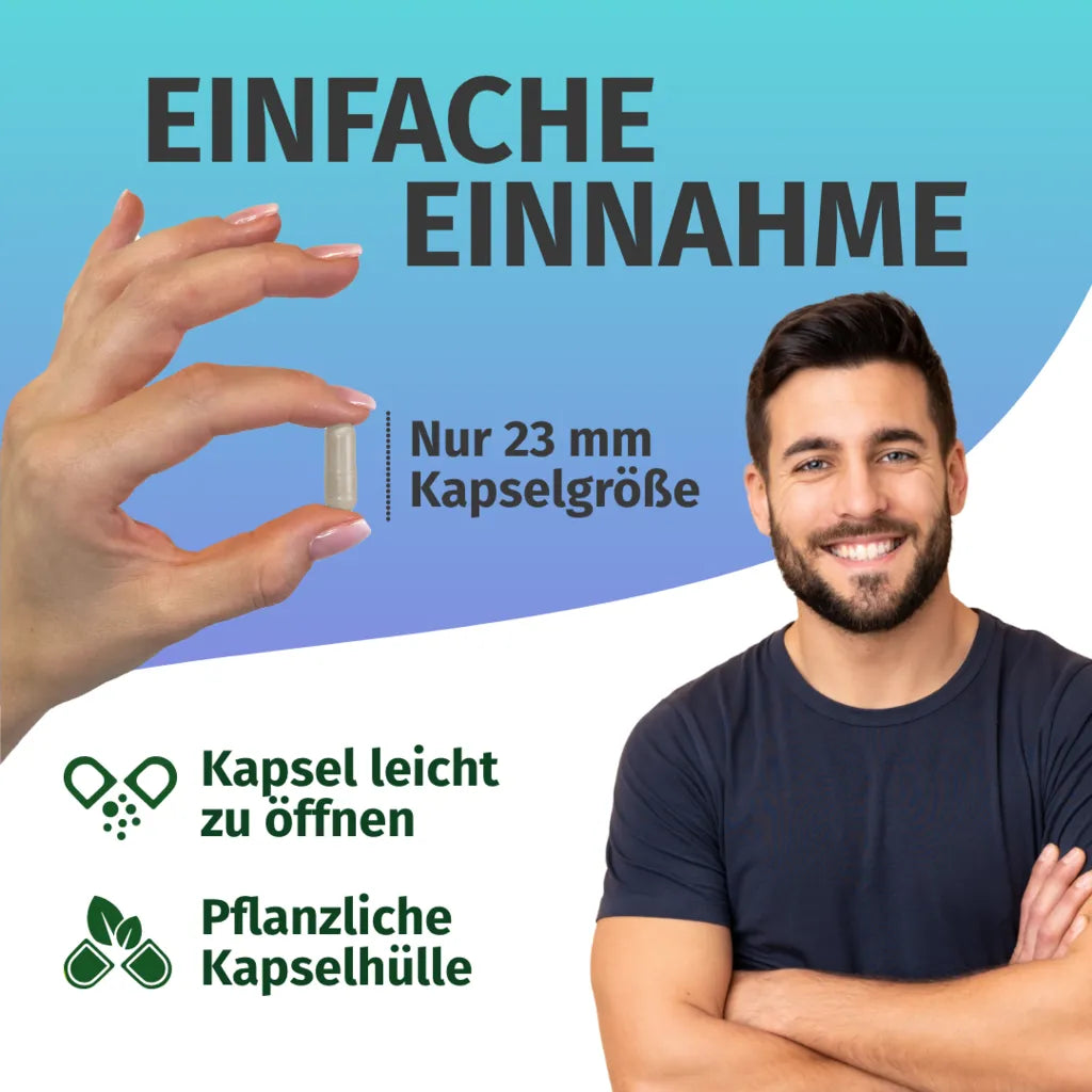 Jod aus Bio-Kelp (365 Tage)