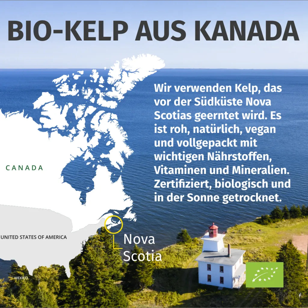 Jod aus Bio-Kelp (365 Tage)