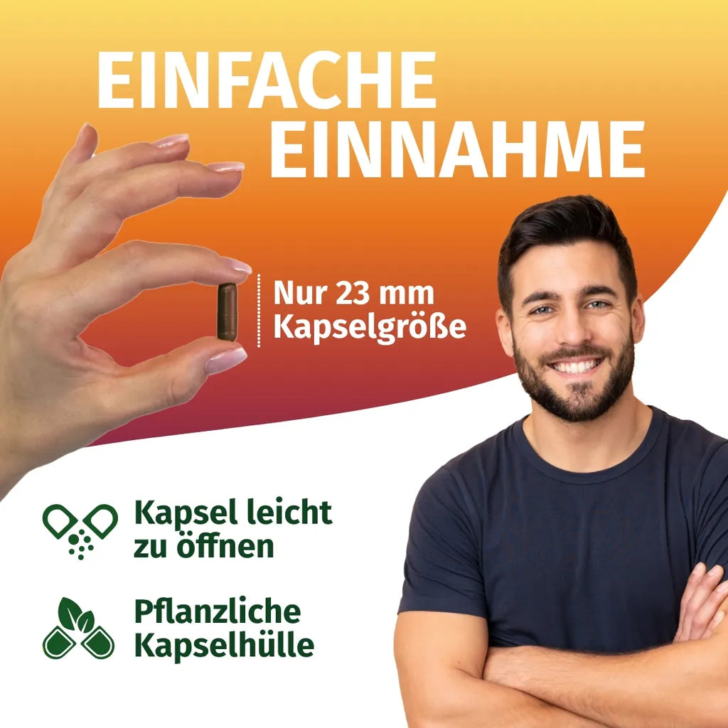 Johanniskraut Kapseln