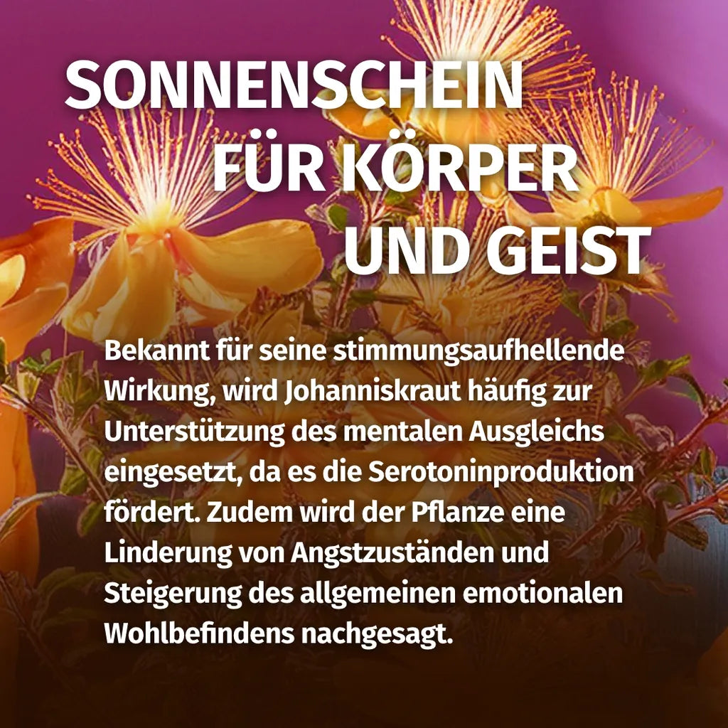 Johanniskraut Kapseln