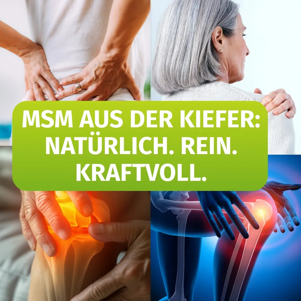 MSM (Methylsulfonylmethan)