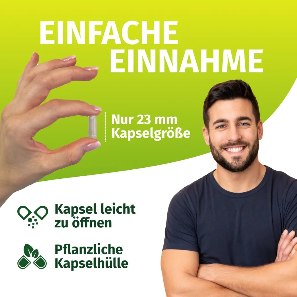 MSM (Methylsulfonylmethan)