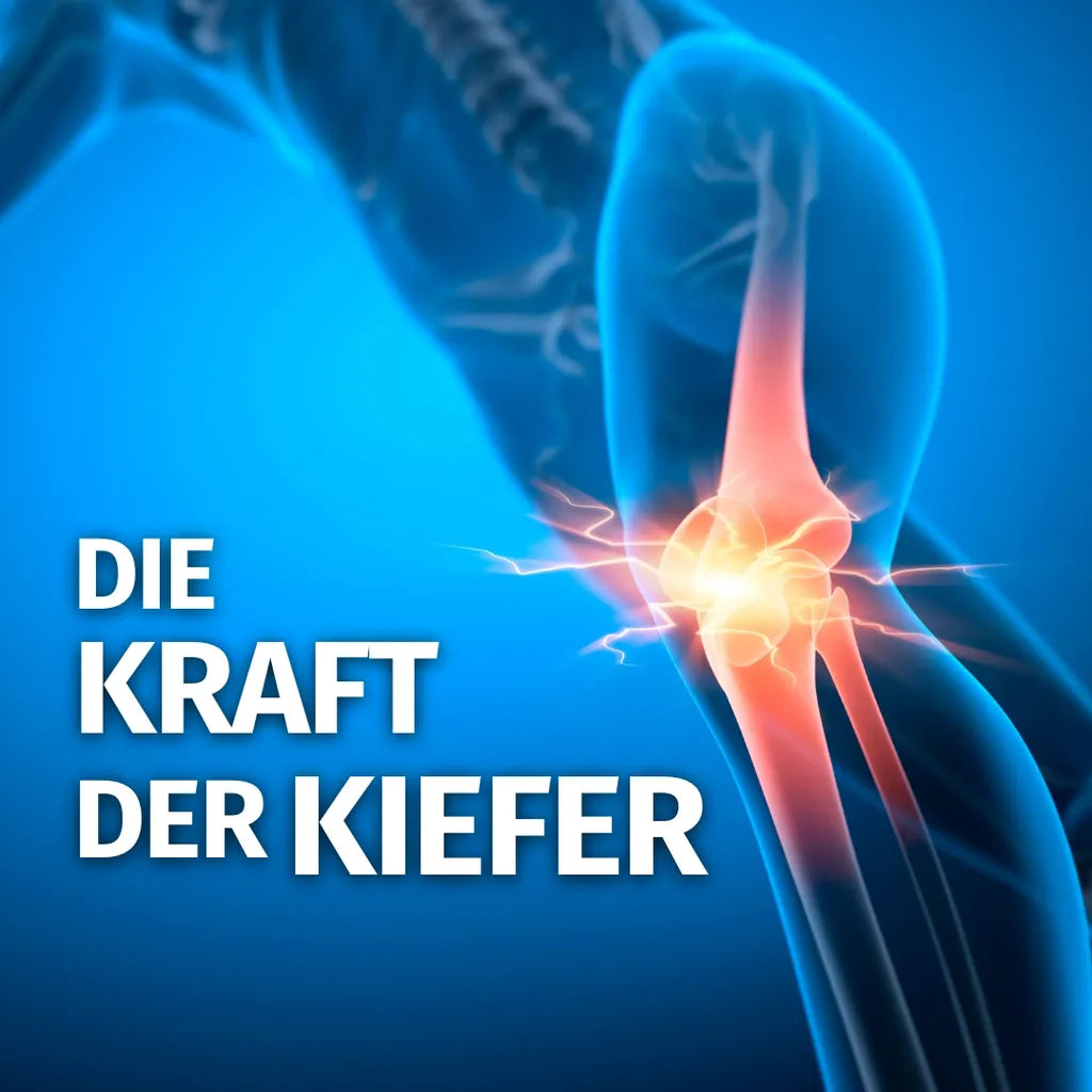 MSM (Methylsulfonylmethan)