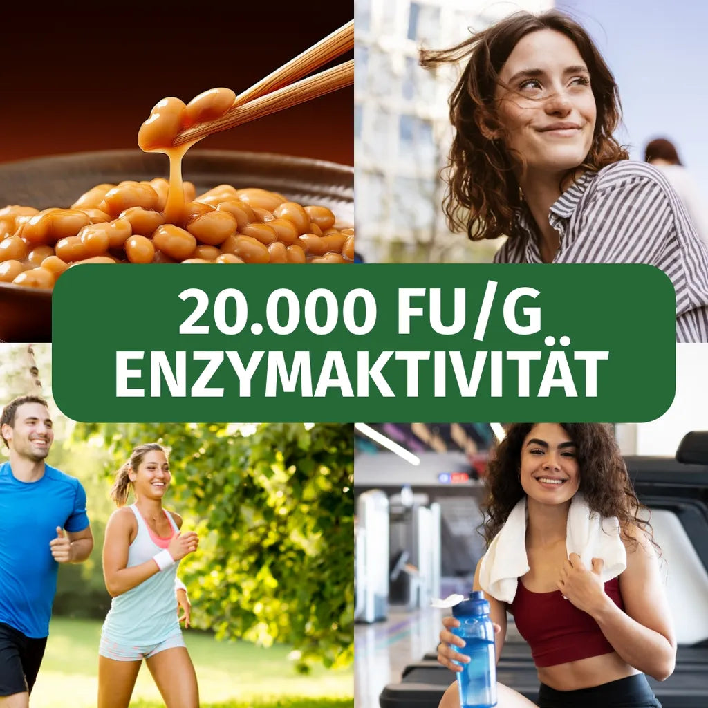 Nattokinase 2,000 FU