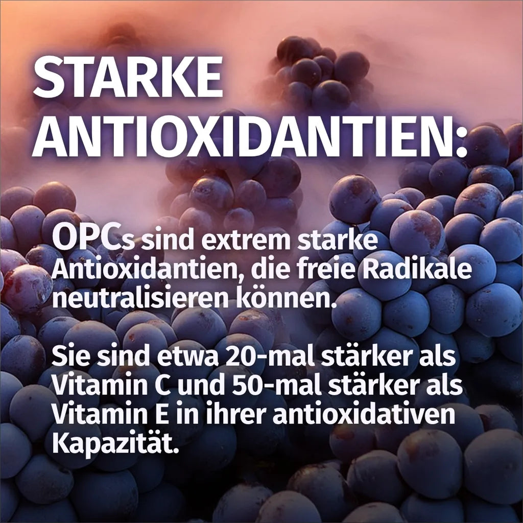 OPC aus Traubenkern-Extrakt (1.000 mg)