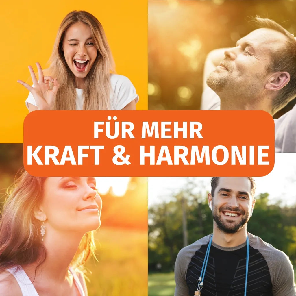 Panax Ginseng (20% Ginsenoside)