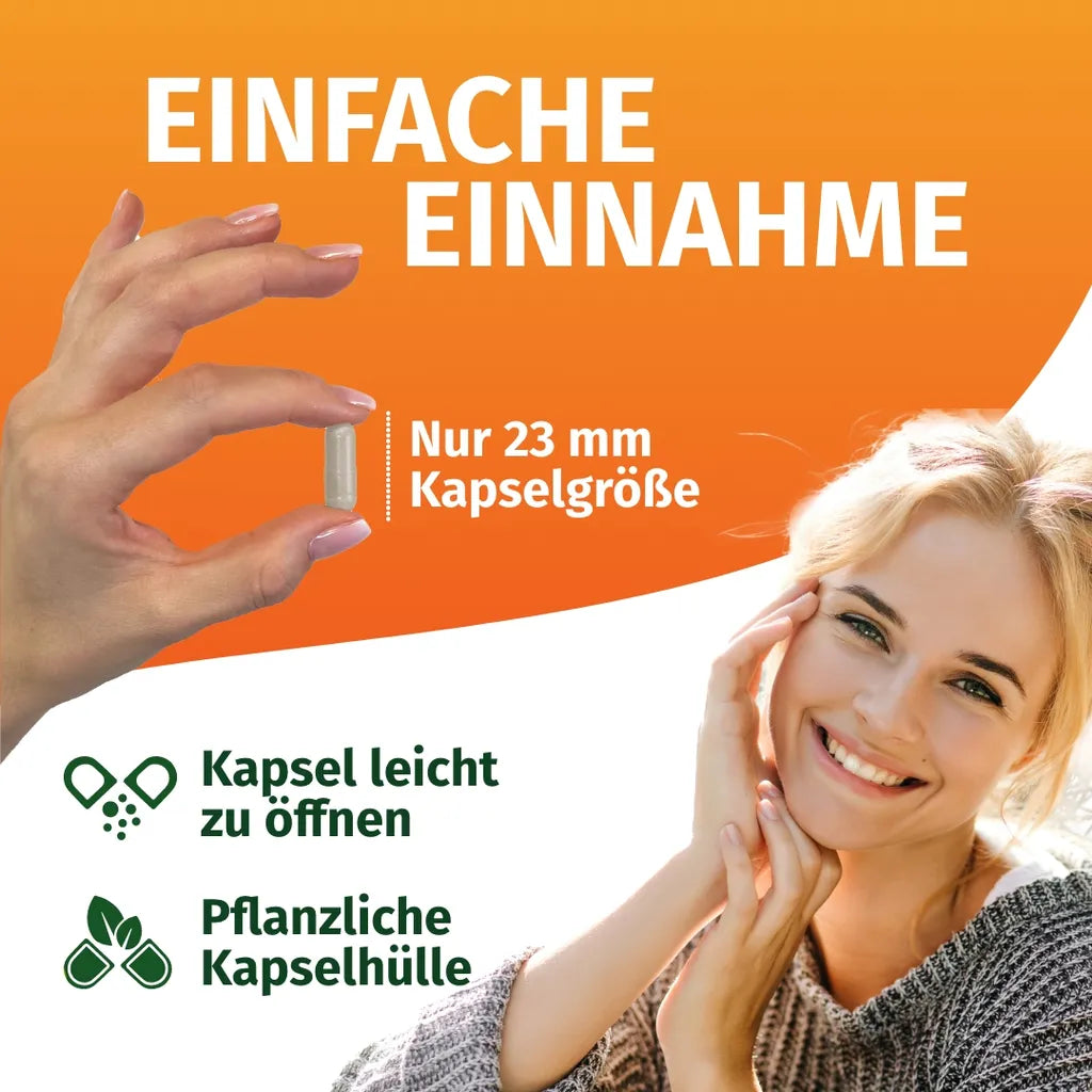 Panax Ginseng (20% Ginsenoside)