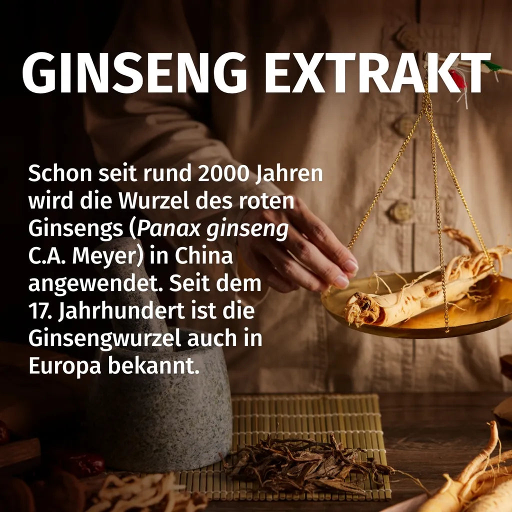 Panax Ginseng (20% Ginsenoside)