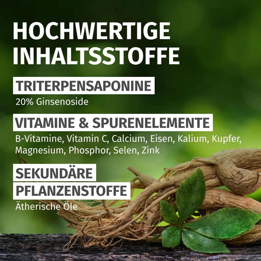 Panax Ginseng (20% Ginsenoside)
