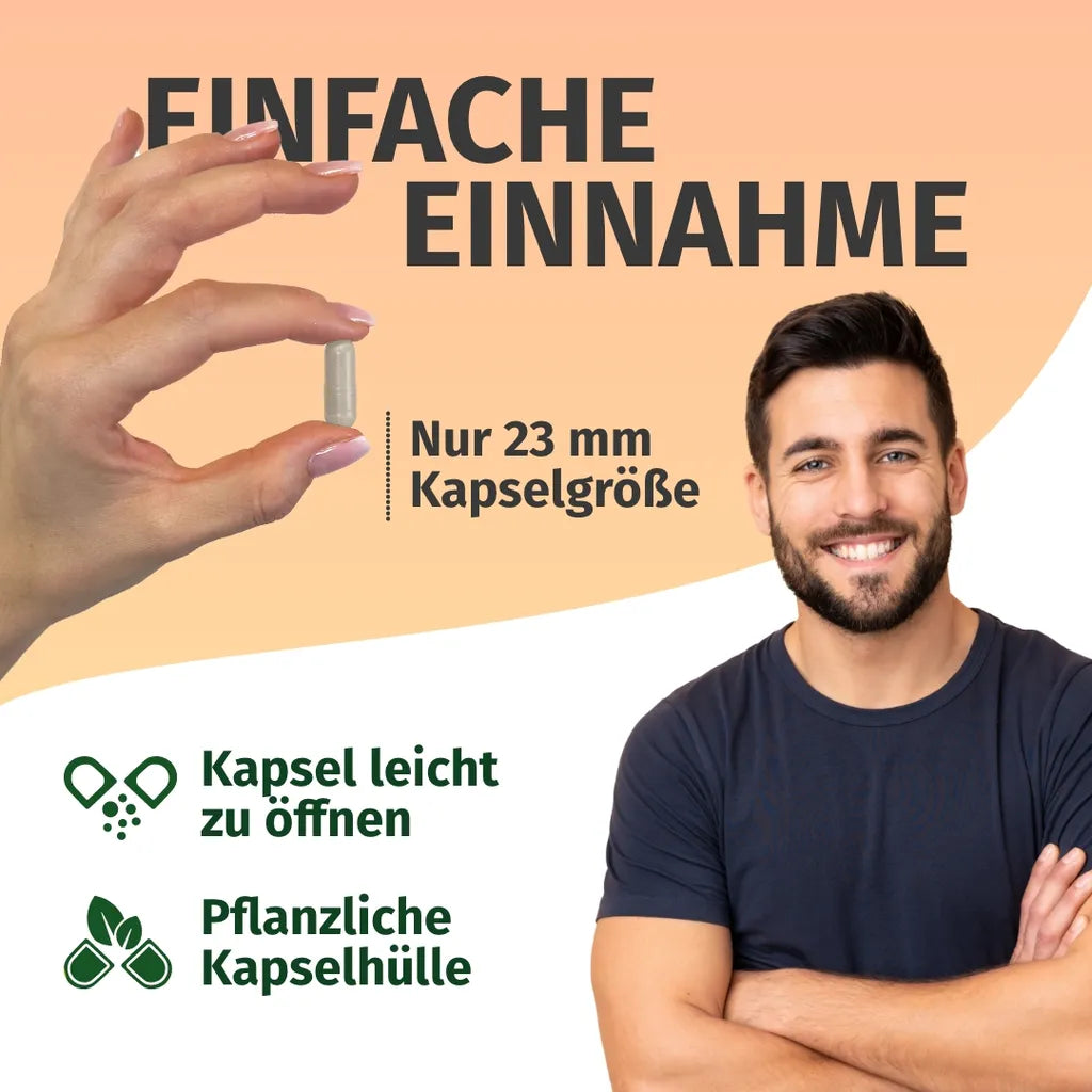 Trans-Resveratrol (120 Kapseln, 500 mg)