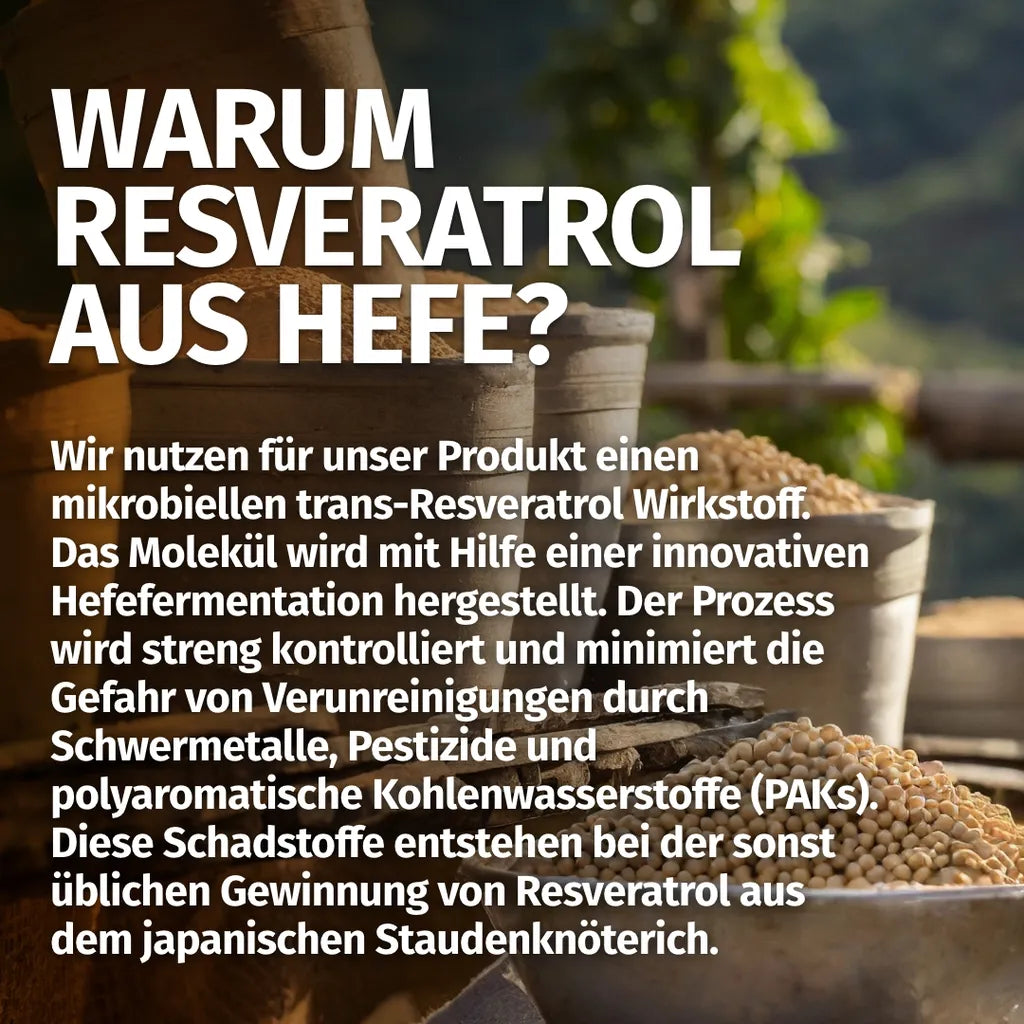 Trans-Resveratrol (120 Kapseln, 500 mg)