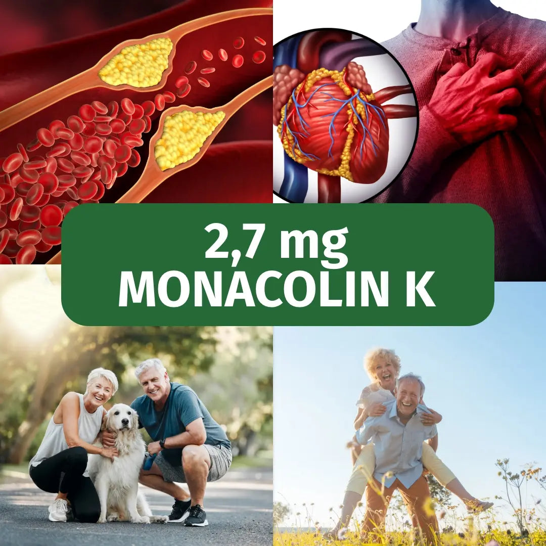 Roter Reis - mit Monacolin K