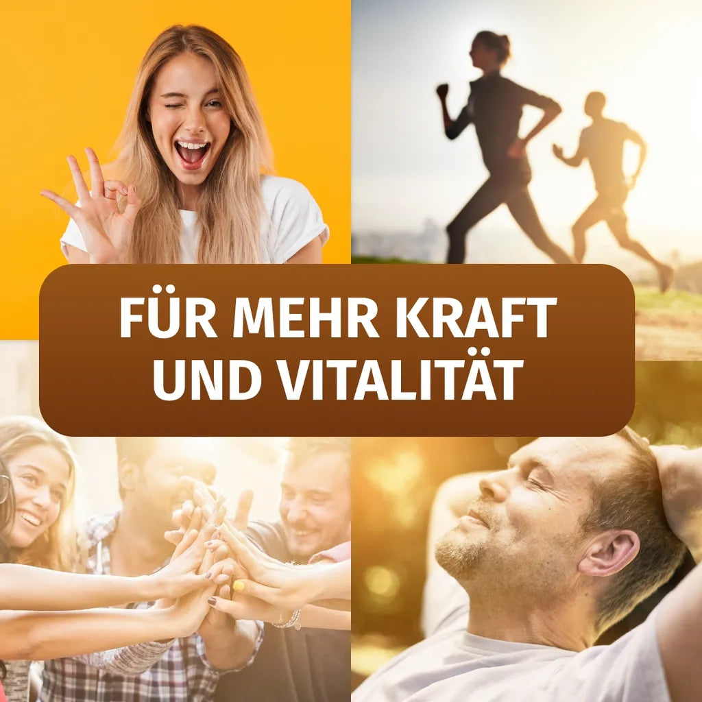 Schwarzkümmelöl (3.000 mg)