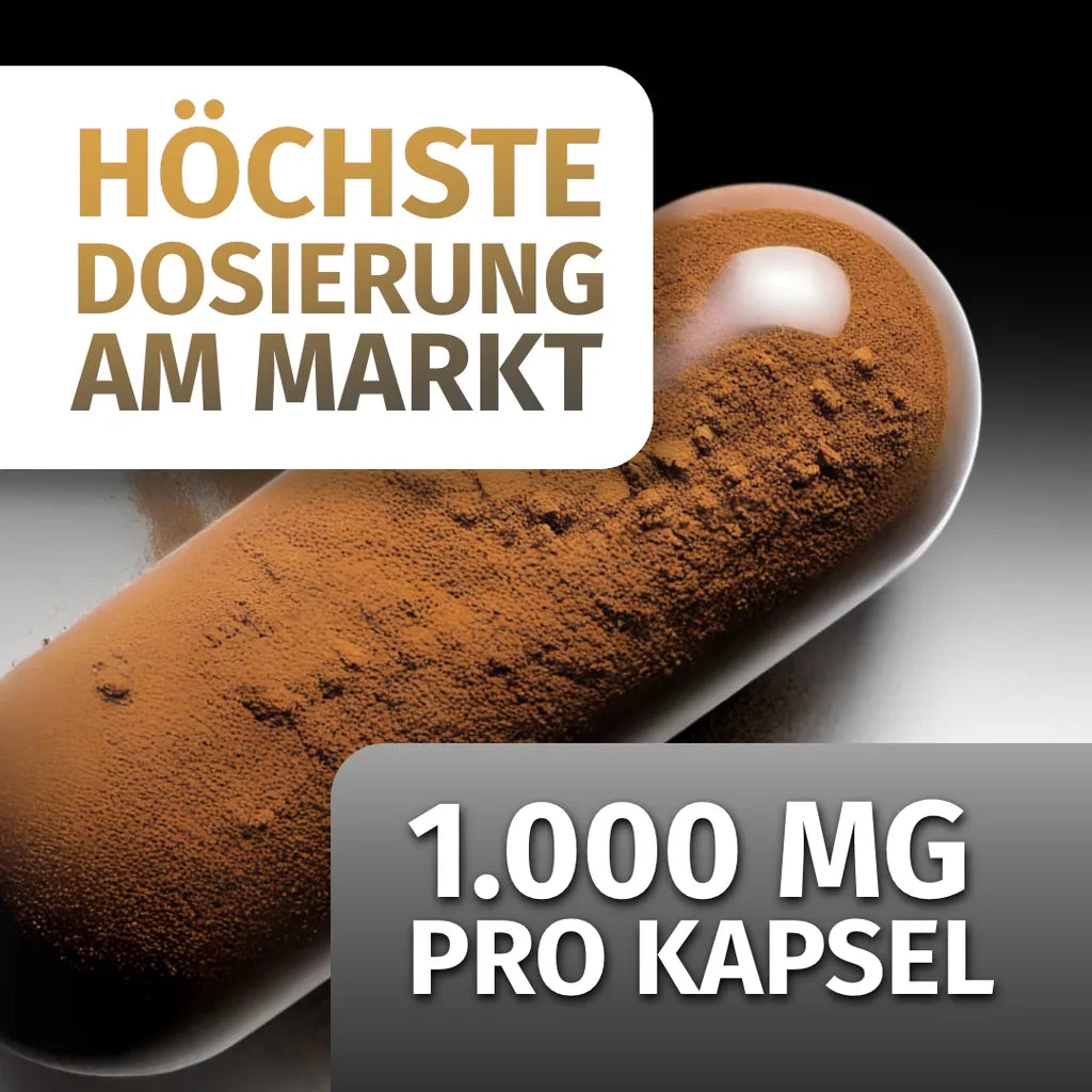 Shilajit ultra-hochdosiert (2000 mg)