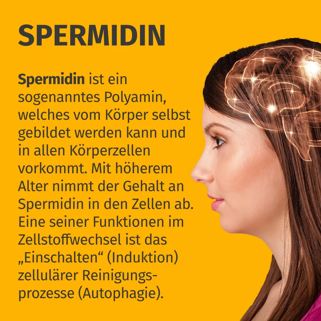Spermidin ultra forte 6 mg