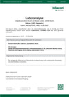 Testdocument