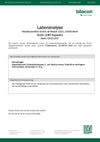 Testdocument