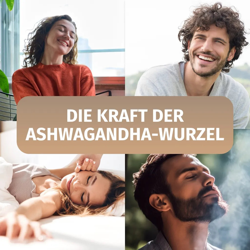 Ashwagandha Extrakt (2.500 mg)