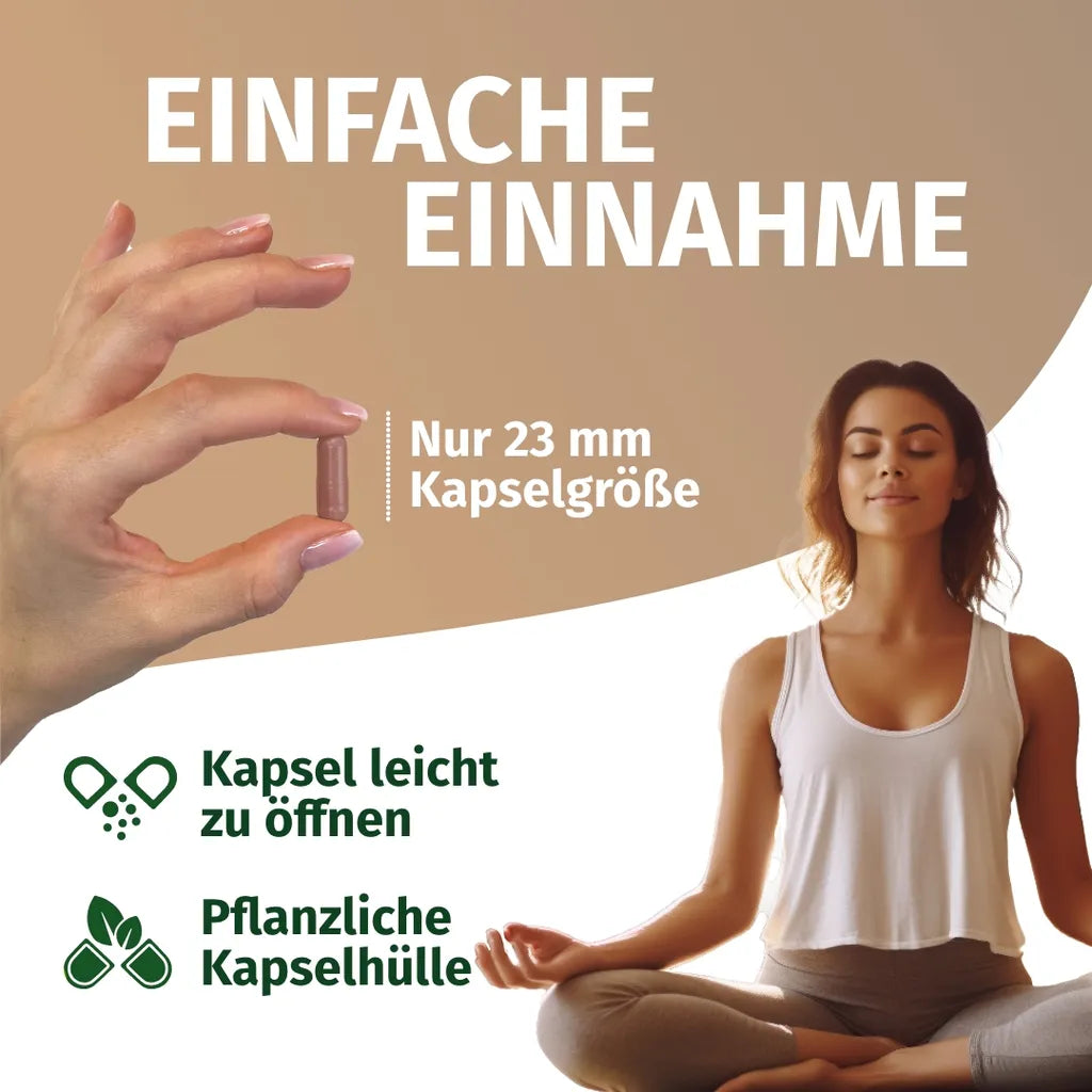 Ashwagandha Extrakt (2.500 mg)