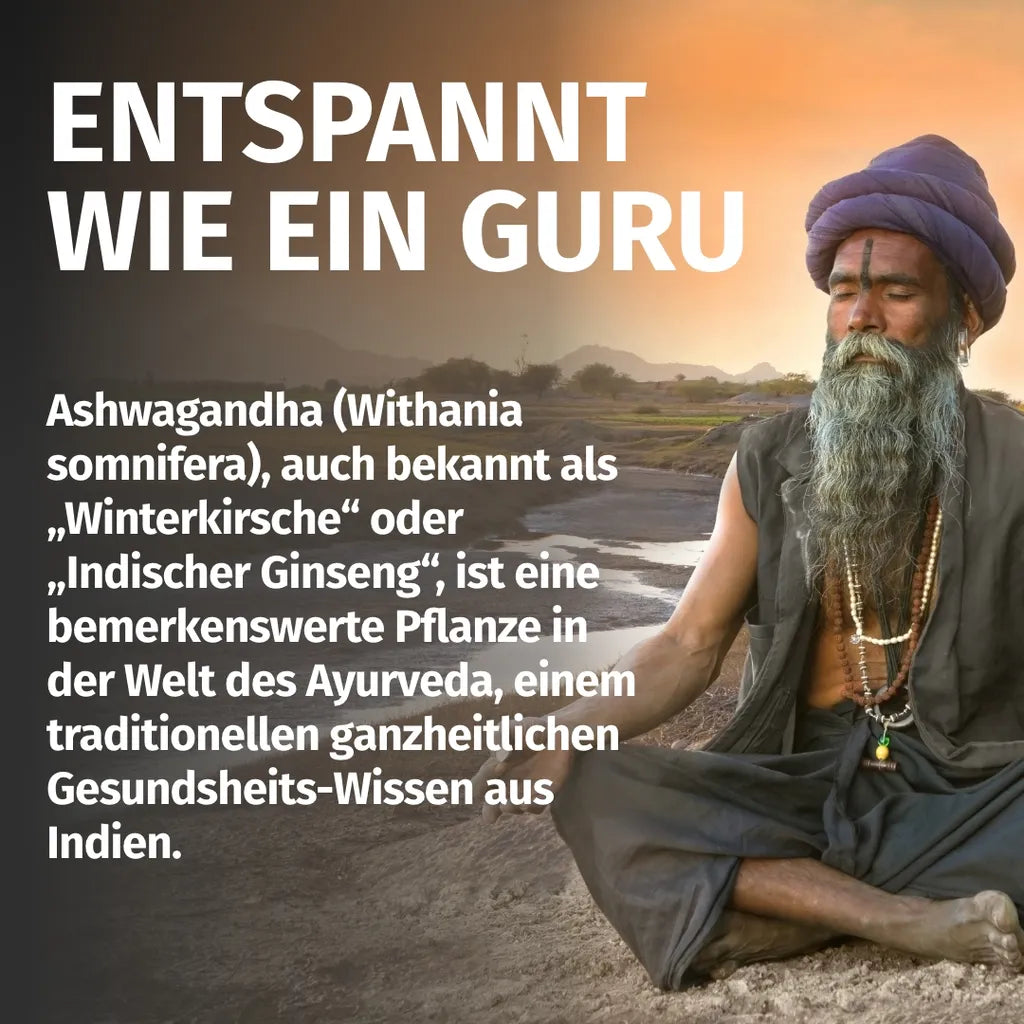 Ashwagandha Extrakt (2.500 mg)