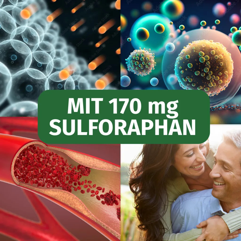 Brokkoli Kapseln (Sulforaphan)