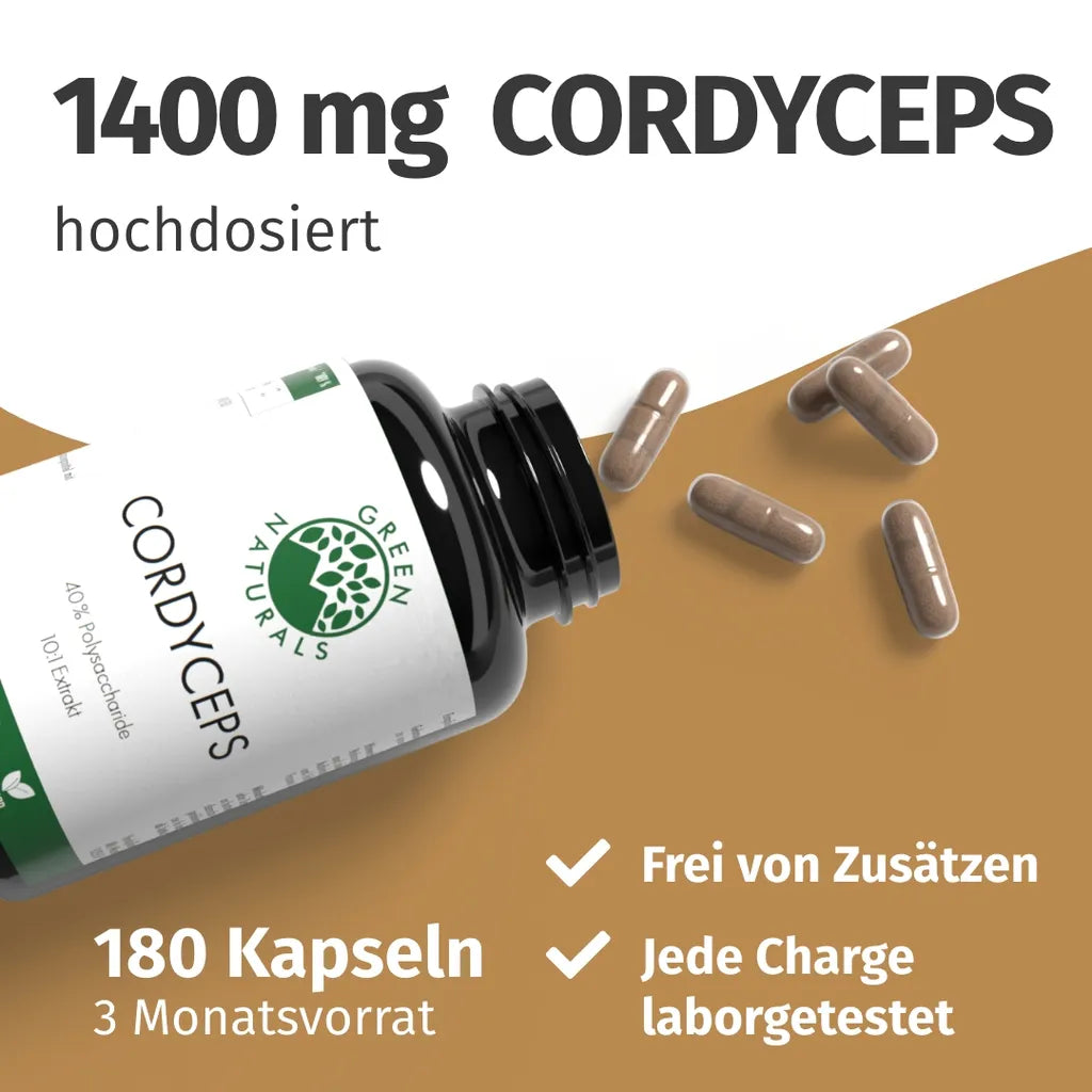 Cordyceps Kapseln (40% Polysaccharide)