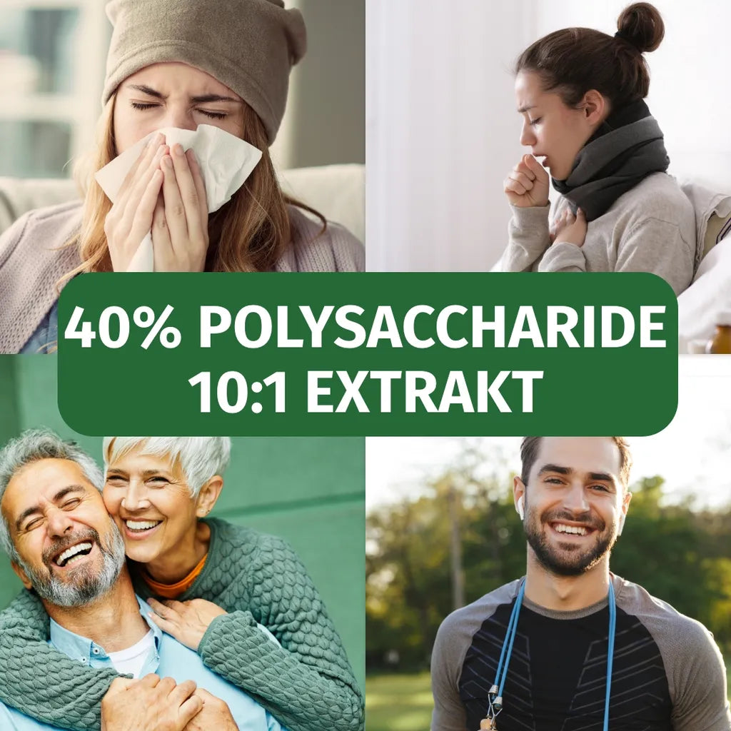 Cordyceps Kapseln (40% Polysaccharide)