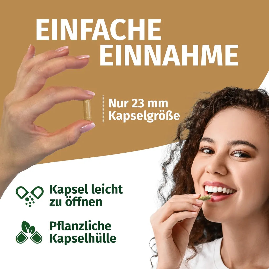 Cordyceps Kapseln (40% Polysaccharide)