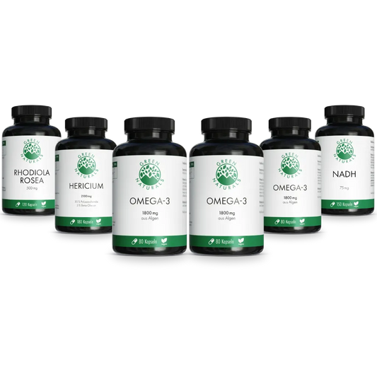 Brain Booster für die Gehirnleistung