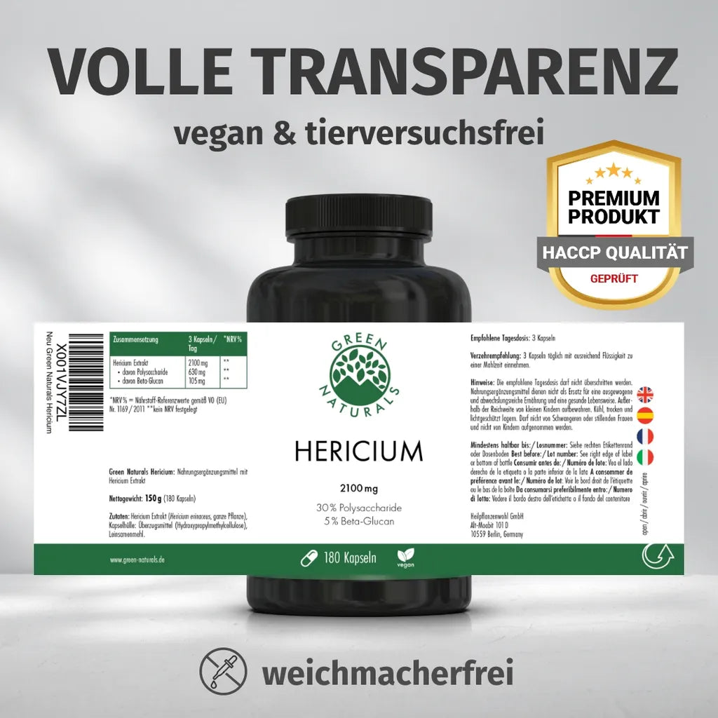 Löwenmähne Pilz (Hericium Erinaceus)
