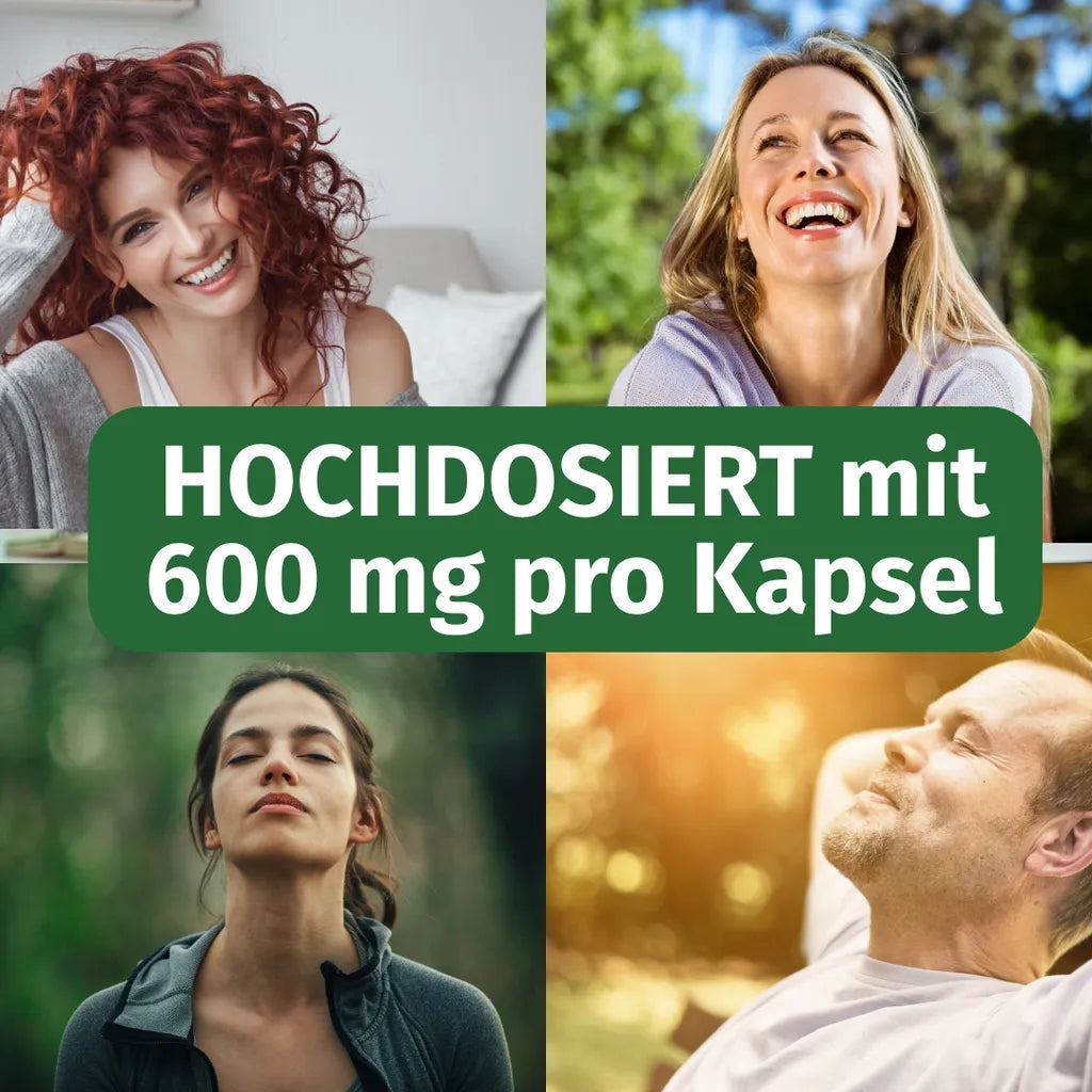 Rhodiola Rosea Kapseln • 500 mg • 3 % Salidroside