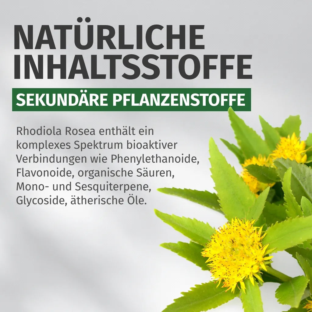 Rhodiola Rosea Kapseln • 500 mg • 3 % Salidroside
