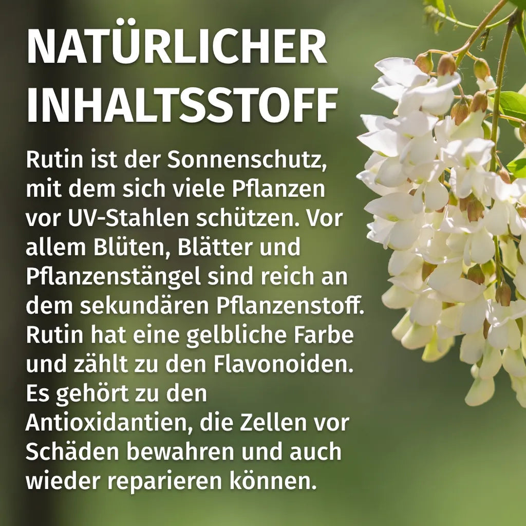 Rutin Kapseln (500 mg)