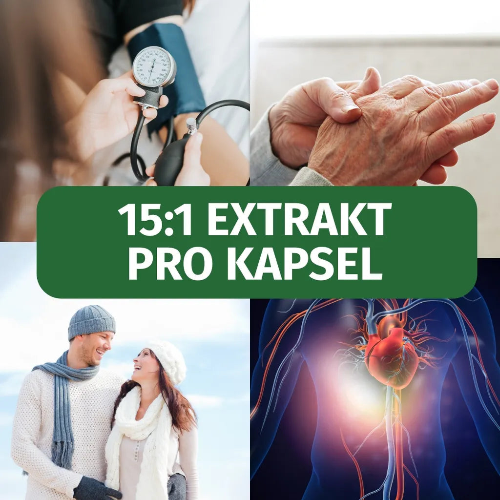 Schwarzer Knoblauch (750 mg, Bio)