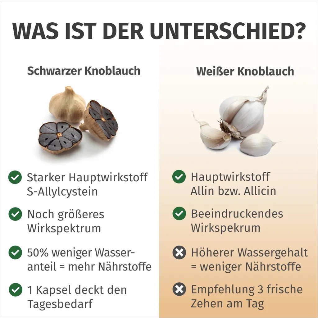 Schwarzer Knoblauch (750 mg, Bio)