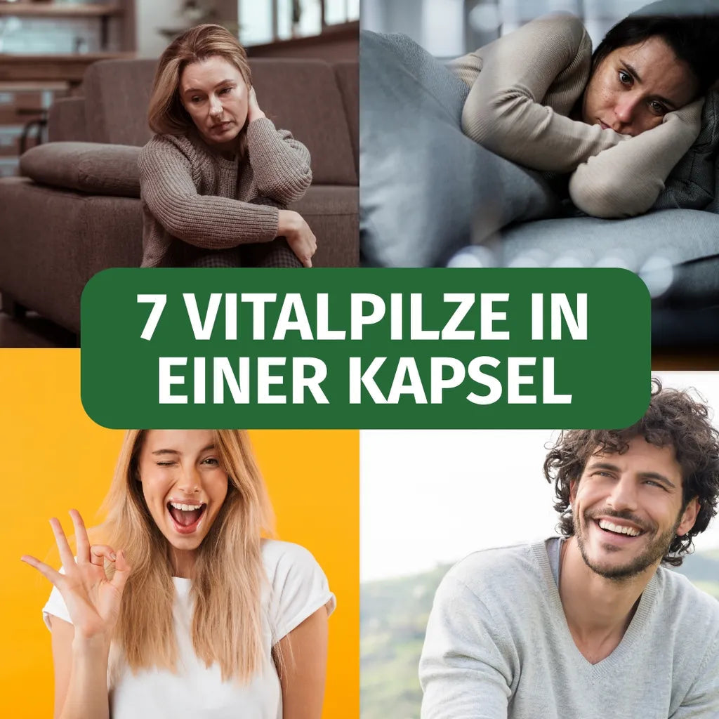 Vital Pilze